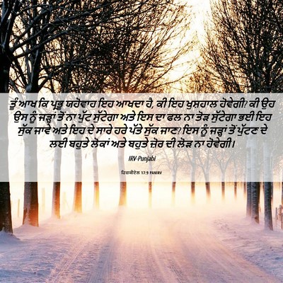 Picture 06 - ਹਿਜ਼ਕੀਏਲ 17:9 PANIRV - ਤੂੰ ਆਖ ਕਿ ਪ੍ਰਭੂ - Bible Verse Picture