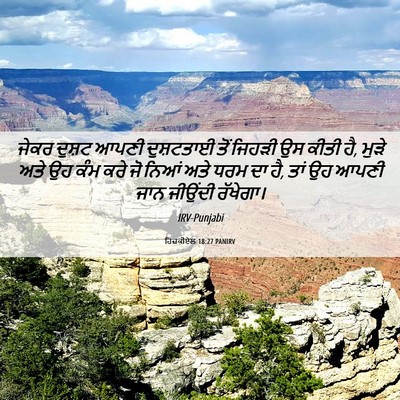 Picture 06 - ਹਿਜ਼ਕੀਏਲ 18:27 PANIRV - ਜੇਕਰ ਦੁਸ਼ਟ ਆਪਣੀ - Bible Verse Picture