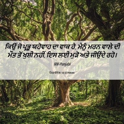 Picture 06 - ਹਿਜ਼ਕੀਏਲ 18:32 PANIRV - ਕਿਉਂ ਜੋ ਪ੍ਰਭੂ - Bible Verse Picture