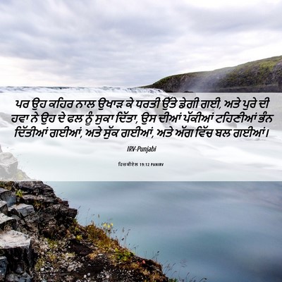 Picture 06 - ਹਿਜ਼ਕੀਏਲ 19:12 PANIRV - ਪਰ ਉਹ ਕਹਿਰ ਨਾਲ ਉਖਾੜ - Bible Verse Picture