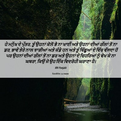 Picture 06 - ਹਿਜ਼ਕੀਏਲ 2:6 PANIRV - ਹੇ ਮਨੁੱਖ ਦੇ ਪੁੱਤਰ, - Bible Verse Picture