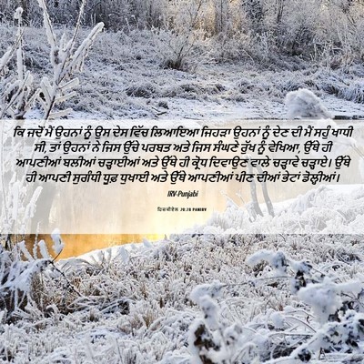Picture 06 - ਹਿਜ਼ਕੀਏਲ 20:28 PANIRV - ਕਿ ਜਦੋਂ ਮੈਂ ਉਹਨਾਂ - Bible Verse Picture