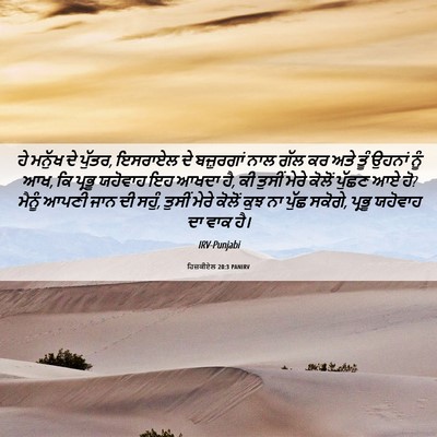 Picture 06 - ਹਿਜ਼ਕੀਏਲ 20:3 PANIRV - ਹੇ ਮਨੁੱਖ ਦੇ ਪੁੱਤਰ, - Bible Verse Picture
