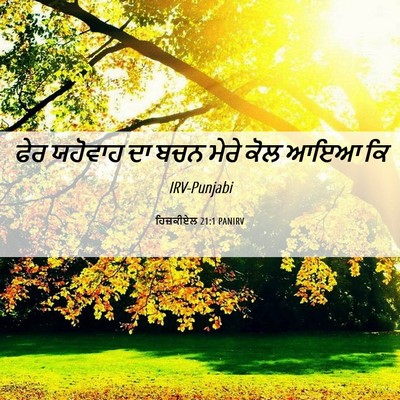Picture 06 - ਹਿਜ਼ਕੀਏਲ 21:1 PANIRV - ਫੇਰ ਯਹੋਵਾਹ ਦਾ ਬਚਨ - Bible Verse Picture