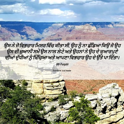 Picture 06 - ਹਿਜ਼ਕੀਏਲ 23:8 PANIRV - ਉਸ ਨੇ ਜੋ ਵਿਭਚਾਰ - Bible Verse Picture