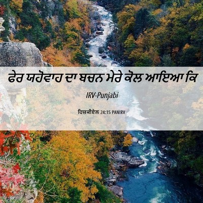 Picture 06 - ਹਿਜ਼ਕੀਏਲ 24:15 PANIRV - ਫੇਰ ਯਹੋਵਾਹ ਦਾ ਬਚਨ - Bible Verse Picture