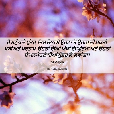 Picture 06 - ਹਿਜ਼ਕੀਏਲ 24:25 PANIRV - ਹੇ ਮਨੁੱਖ ਦੇ ਪੁੱਤਰ, - Bible Verse Picture