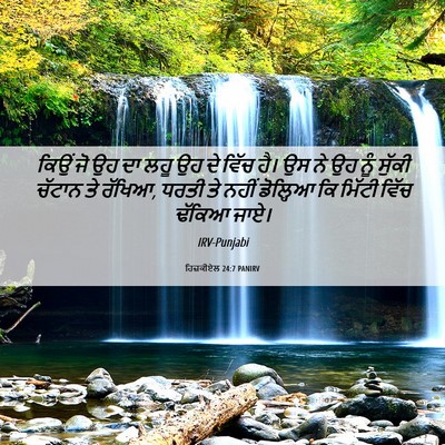 Picture 06 - ਹਿਜ਼ਕੀਏਲ 24:7 PANIRV - ਕਿਉਂ ਜੋ ਉਹ ਦਾ ਲਹੂ - Bible Verse Picture
