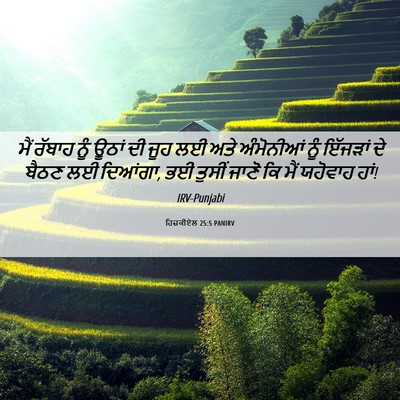 Picture 06 - ਹਿਜ਼ਕੀਏਲ 25:5 PANIRV - ਮੈਂ ਰੱਬਾਹ ਨੂੰ ਊਠਾਂ - Bible Verse Picture