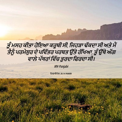 Picture 06 - ਹਿਜ਼ਕੀਏਲ 28:14 PANIRV - ਤੂੰ ਮਸਹ ਕੀਤਾ ਹੋਇਆ - Bible Verse Picture