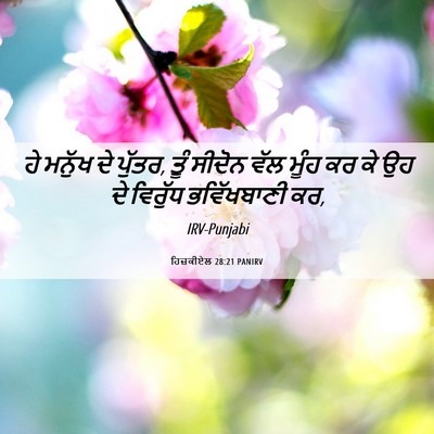 Picture 06 - ਹਿਜ਼ਕੀਏਲ 28:21 PANIRV - ਹੇ ਮਨੁੱਖ ਦੇ ਪੁੱਤਰ, - Bible Verse Picture