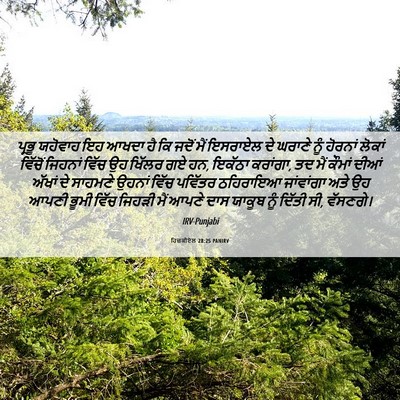 Picture 06 - ਹਿਜ਼ਕੀਏਲ 28:25 PANIRV - ਪ੍ਰਭੂ ਯਹੋਵਾਹ ਇਹ - Bible Verse Picture