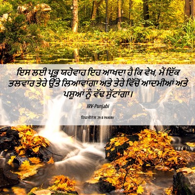 Picture 06 - ਹਿਜ਼ਕੀਏਲ 29:8 PANIRV - ਇਸ ਲਈ ਪ੍ਰਭੂ ਯਹੋਵਾਹ - Bible Verse Picture