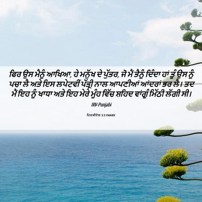 Picture 06 - ਹਿਜ਼ਕੀਏਲ 3:3 PANIRV - ਫਿਰ ਉਸ ਮੈਨੂੰ ਆਖਿਆ, - Bible Verse Picture