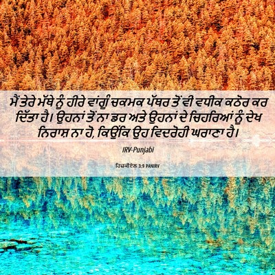 Picture 06 - ਹਿਜ਼ਕੀਏਲ 3:9 PANIRV - ਮੈਂ ਤੇਰੇ ਮੱਥੇ ਨੂੰ - Bible Verse Picture