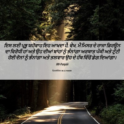 Picture 06 - ਹਿਜ਼ਕੀਏਲ 30:22 PANIRV - ਇਸ ਲਈ ਪ੍ਰਭੂ ਯਹੋਵਾਹ - Bible Verse Picture