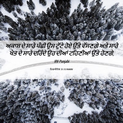 Picture 06 - ਹਿਜ਼ਕੀਏਲ 31:13 PANIRV - ਅਕਾਸ਼ ਦੇ ਸਾਰੇ ਪੰਛੀ - Bible Verse Picture