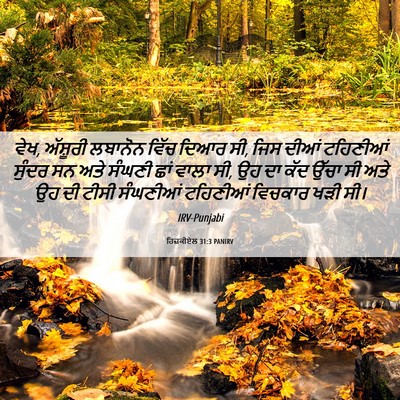 Picture 06 - ਹਿਜ਼ਕੀਏਲ 31:3 PANIRV - ਵੇਖ, ਅੱਸ਼ੂਰੀ - Bible Verse Picture