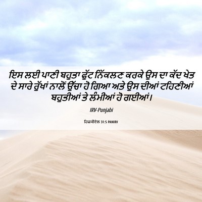 Picture 06 - ਹਿਜ਼ਕੀਏਲ 31:5 PANIRV - ਇਸ ਲਈ ਪਾਣੀ ਬਹੁਤਾ - Bible Verse Picture