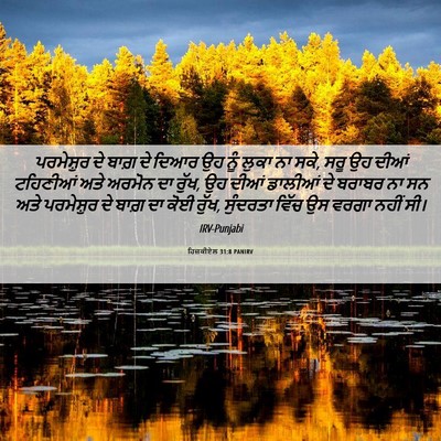 Picture 06 - ਹਿਜ਼ਕੀਏਲ 31:8 PANIRV - ਪਰਮੇਸ਼ੁਰ ਦੇ ਬਾਗ਼ - Bible Verse Picture