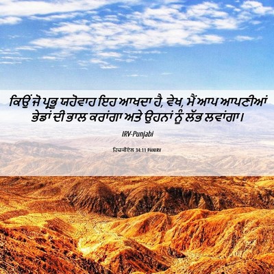 Picture 06 - ਹਿਜ਼ਕੀਏਲ 34:11 PANIRV - ਕਿਉਂ ਜੋ ਪ੍ਰਭੂ - Bible Verse Picture