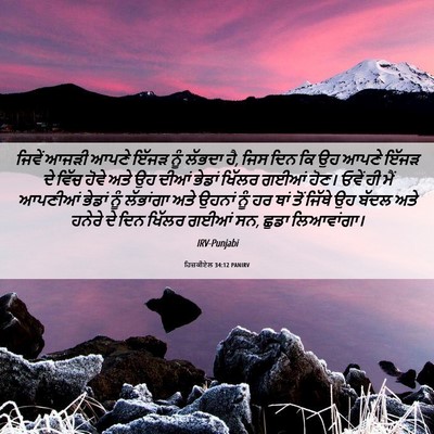 Picture 06 - ਹਿਜ਼ਕੀਏਲ 34:12 PANIRV - ਜਿਵੇਂ ਆਜੜੀ ਆਪਣੇ - Bible Verse Picture