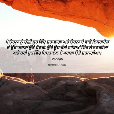 Picture 06 - ਹਿਜ਼ਕੀਏਲ 34:14 PANIRV - ਮੈਂ ਉਹਨਾਂ ਨੂੰ ਚੰਗੀ - Bible Verse Picture