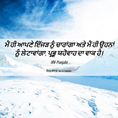 Picture 06 - ਹਿਜ਼ਕੀਏਲ 34:15 PANIRV - ਮੈਂ ਹੀ ਆਪਣੇ ਇੱਜੜ - Bible Verse Picture