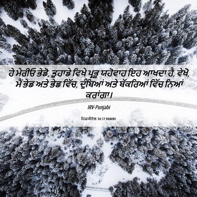 Picture 06 - ਹਿਜ਼ਕੀਏਲ 34:17 PANIRV - ਹੇ ਮੇਰੀਓ ਭੇਡੋ, - Bible Verse Picture