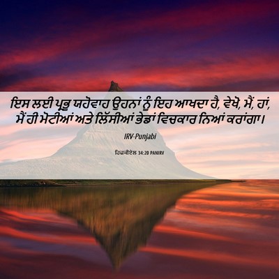 Picture 06 - ਹਿਜ਼ਕੀਏਲ 34:20 PANIRV - ਇਸ ਲਈ ਪ੍ਰਭੂ ਯਹੋਵਾਹ - Bible Verse Picture