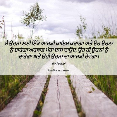 Picture 06 - ਹਿਜ਼ਕੀਏਲ 34:23 PANIRV - ਮੈਂ ਉਹਨਾਂ ਲਈ ਇੱਕ - Bible Verse Picture