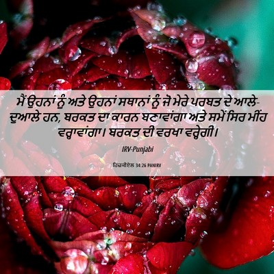 Picture 06 - ਹਿਜ਼ਕੀਏਲ 34:26 PANIRV - ਮੈਂ ਉਹਨਾਂ ਨੂੰ ਅਤੇ - Bible Verse Picture