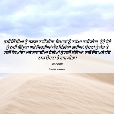 Picture 06 - ਹਿਜ਼ਕੀਏਲ 34:4 PANIRV - ਤੁਸੀਂ ਲਿੱਸੀਆਂ ਨੂੰ - Bible Verse Picture