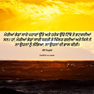 Picture 06 - ਹਿਜ਼ਕੀਏਲ 34:6 PANIRV - ਮੇਰੀਆਂ ਭੇਡਾਂ ਸਾਰੇ - Bible Verse Picture