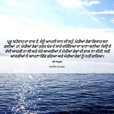 Picture 06 - ਹਿਜ਼ਕੀਏਲ 34:8 PANIRV - ਪ੍ਰਭੂ ਯਹੋਵਾਹ ਦਾ - Bible Verse Picture