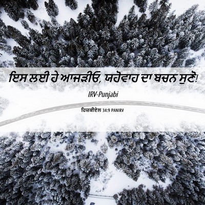 Picture 06 - ਹਿਜ਼ਕੀਏਲ 34:9 PANIRV - ਇਸ ਲਈ ਹੇ ਆਜੜੀਓ, - Bible Verse Picture
