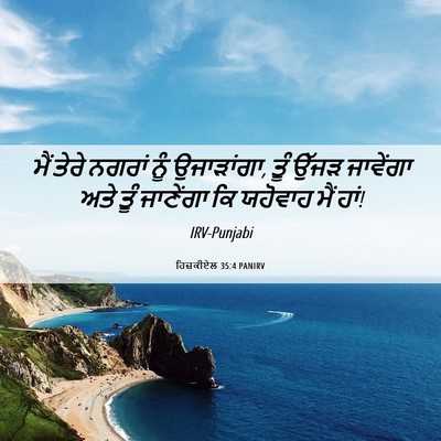 Picture 06 - ਹਿਜ਼ਕੀਏਲ 35:4 PANIRV - ਮੈਂ ਤੇਰੇ ਨਗਰਾਂ ਨੂੰ - Bible Verse Picture