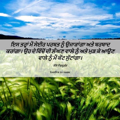 Picture 06 - ਹਿਜ਼ਕੀਏਲ 35:7 PANIRV - ਇਸ ਤਰ੍ਹਾਂ ਮੈਂ ਸੇਈਰ - Bible Verse Picture