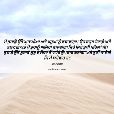 Picture 06 - ਹਿਜ਼ਕੀਏਲ 36:11 PANIRV - ਮੈਂ ਤੁਹਾਡੇ ਉੱਤੇ - Bible Verse Picture