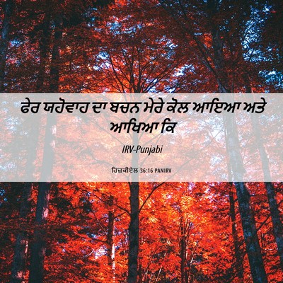 Picture 06 - ਹਿਜ਼ਕੀਏਲ 36:16 PANIRV - ਫੇਰ ਯਹੋਵਾਹ ਦਾ ਬਚਨ - Bible Verse Picture