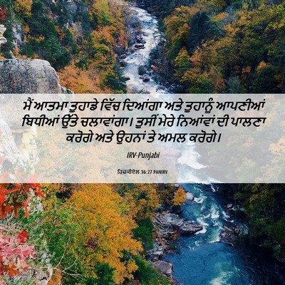 Picture 06 - ਹਿਜ਼ਕੀਏਲ 36:27 PANIRV - ਮੈਂ ਆਤਮਾ ਤੁਹਾਡੇ - Bible Verse Picture