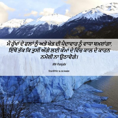 Picture 06 - ਹਿਜ਼ਕੀਏਲ 36:30 PANIRV - ਮੈਂ ਰੁੱਖਾਂ ਦੇ ਫਲਾਂ - Bible Verse Picture