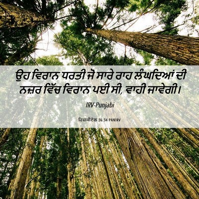 Picture 06 - ਹਿਜ਼ਕੀਏਲ 36:34 PANIRV - ਉਹ ਵਿਰਾਨ ਧਰਤੀ ਜੋ - Bible Verse Picture