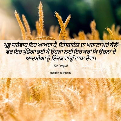Picture 06 - ਹਿਜ਼ਕੀਏਲ 36:37 PANIRV - ਪ੍ਰਭੂ ਯਹੋਵਾਹ ਇਹ - Bible Verse Picture