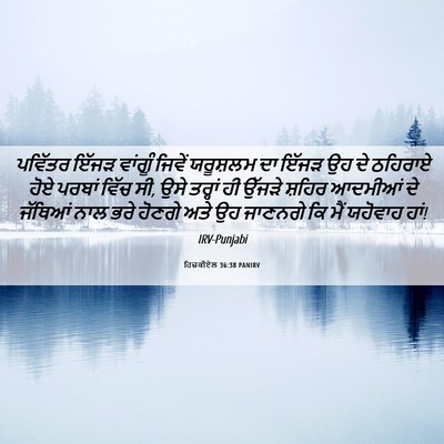 Picture 06 - ਹਿਜ਼ਕੀਏਲ 36:38 PANIRV - ਪਵਿੱਤਰ ਇੱਜੜ - Bible Verse Picture