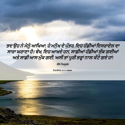 Picture 06 - ਹਿਜ਼ਕੀਏਲ 37:11 PANIRV - ਤਦ ਉਹ ਨੇ ਮੈਨੂੰ - Bible Verse Picture
