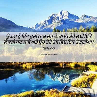 Picture 06 - ਹਿਜ਼ਕੀਏਲ 37:17 PANIRV - ਉਹਨਾਂ ਨੂੰ ਇੱਕ ਦੂਜੀ - Bible Verse Picture