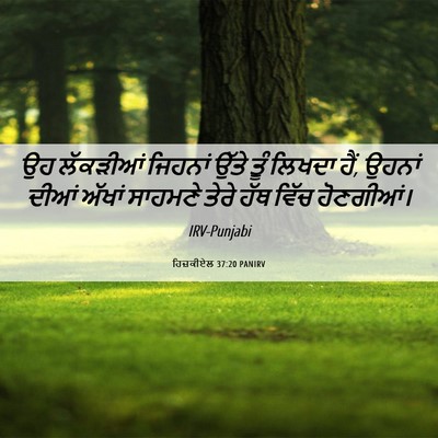 Picture 06 - ਹਿਜ਼ਕੀਏਲ 37:20 PANIRV - ਉਹ ਲੱਕੜੀਆਂ ਜਿਹਨਾਂ - Bible Verse Picture