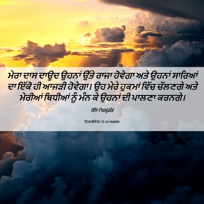 Picture 06 - ਹਿਜ਼ਕੀਏਲ 37:24 PANIRV - ਮੇਰਾ ਦਾਸ ਦਾਊਦ - Bible Verse Picture