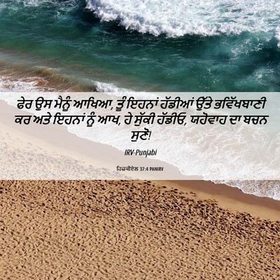 Picture 06 - ਹਿਜ਼ਕੀਏਲ 37:4 PANIRV - ਫੇਰ ਉਸ ਮੈਨੂੰ ਆਖਿਆ, - Bible Verse Picture
